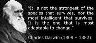Darwin on Adaptation