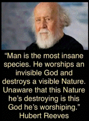Hubert Reeves on God and Nature
