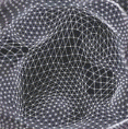 grid lattice 3d